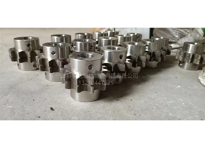 雙節距輸送鏈條鏈輪 Double pitch conveyor chain sprocket